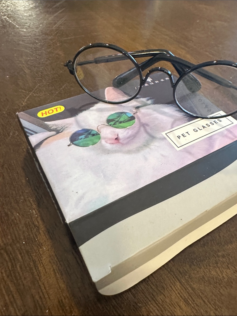 Pet Glasses for Cats - Black Frame